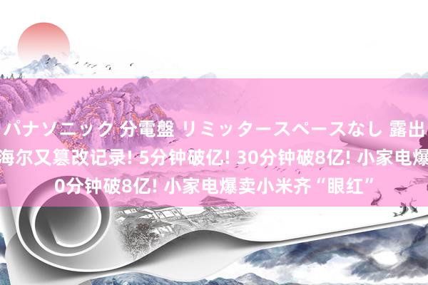 パナソニック 分電盤 リミッタースペースなし 露出・半埋込両用形 海尔又篡改记录! 5分钟破亿! 30分钟破8亿! 小家电爆卖小米齐“眼红”