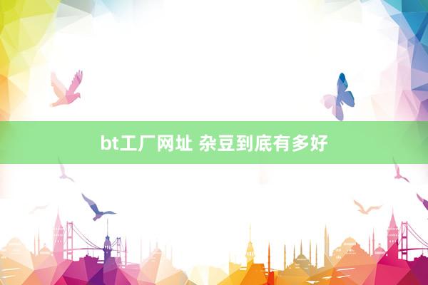 bt工厂网址 杂豆到底有多好