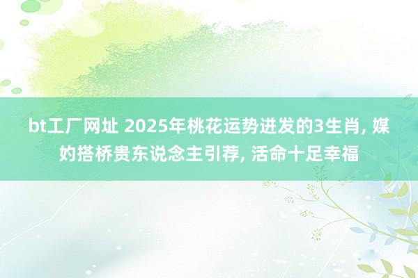 bt工厂网址 2025年桃花运势迸发的3生肖， 媒妁搭桥贵东说念主引荐， 活命十足幸福
